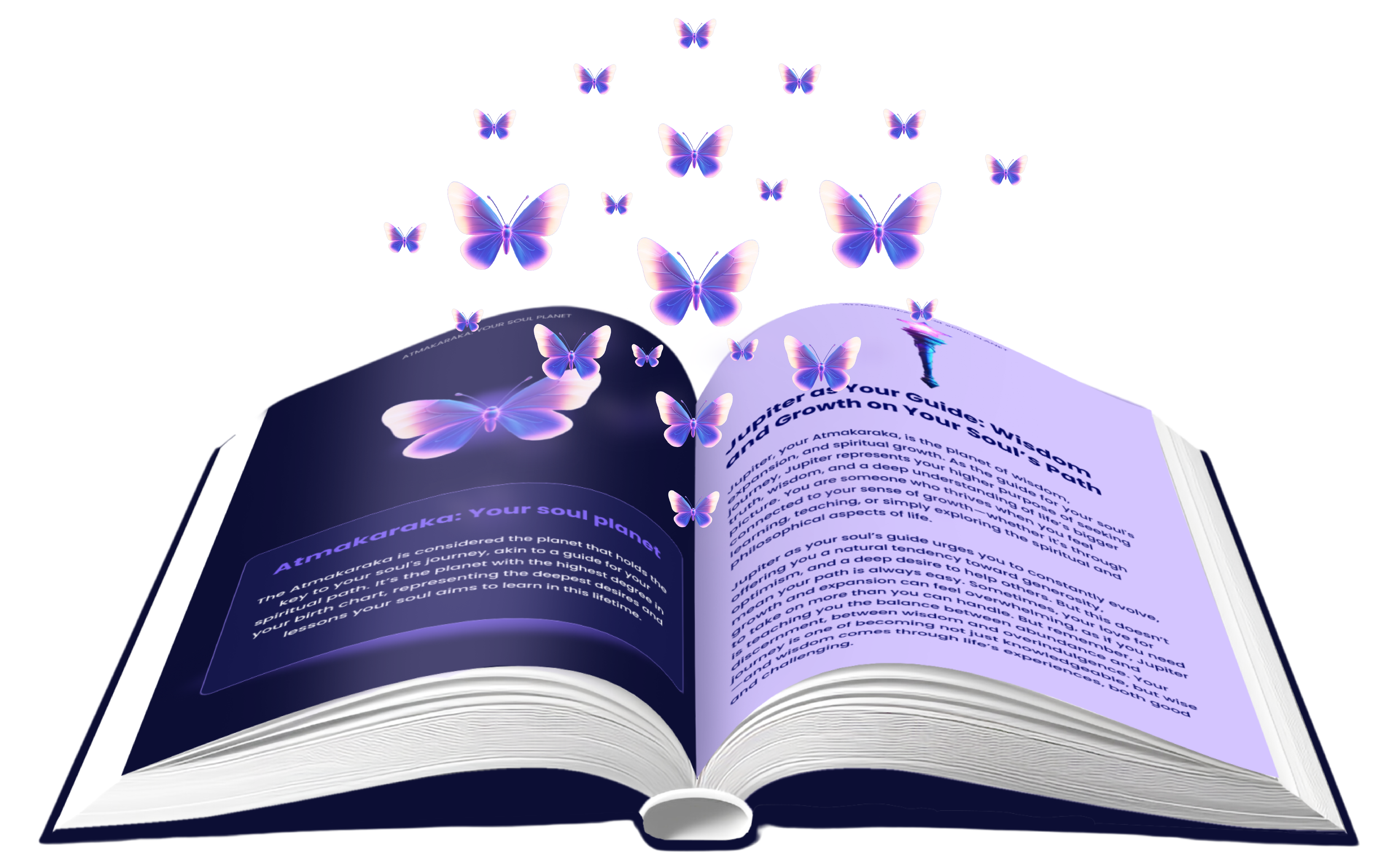 Book Butterfly 03-01